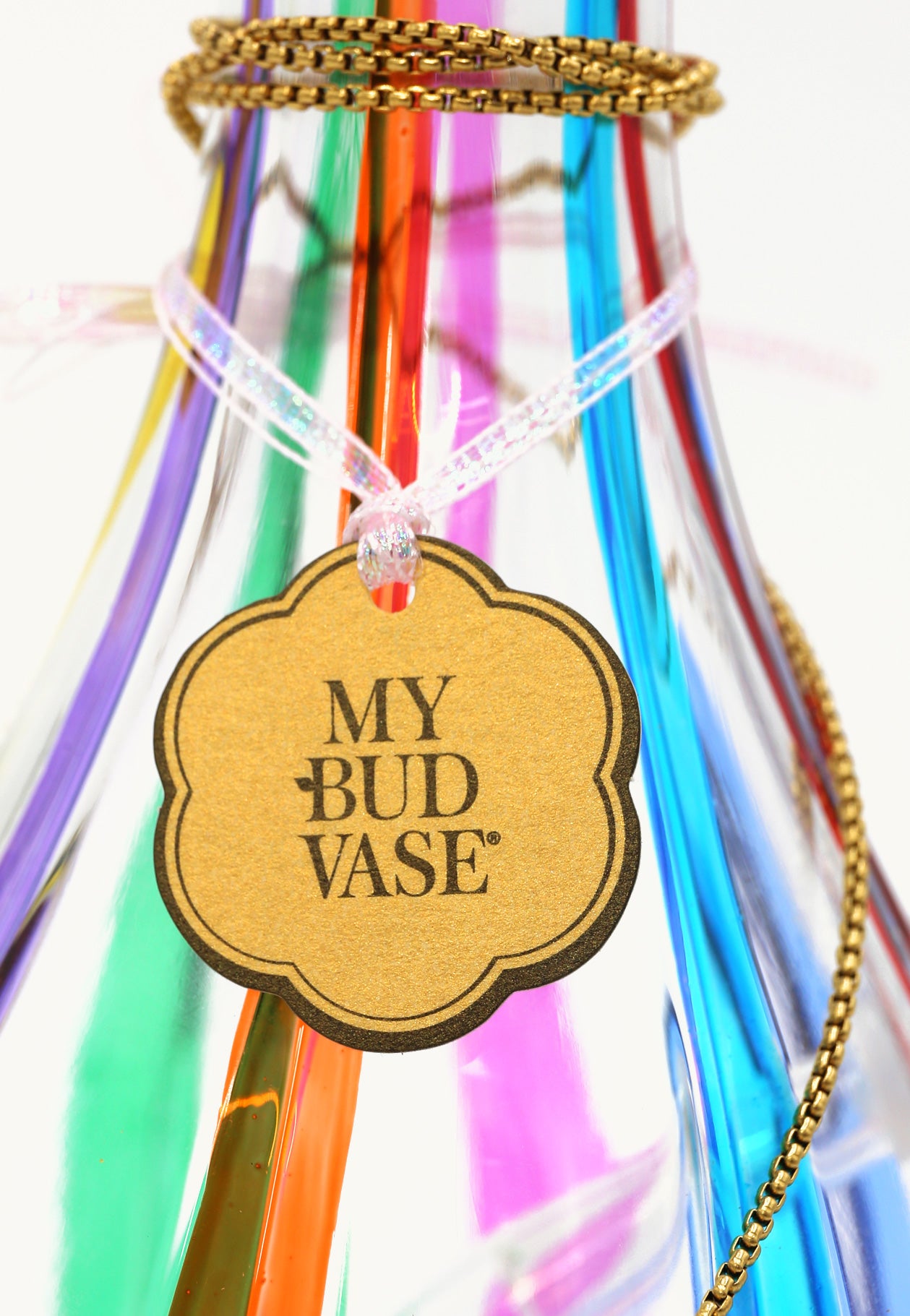 Pride Vase Bong